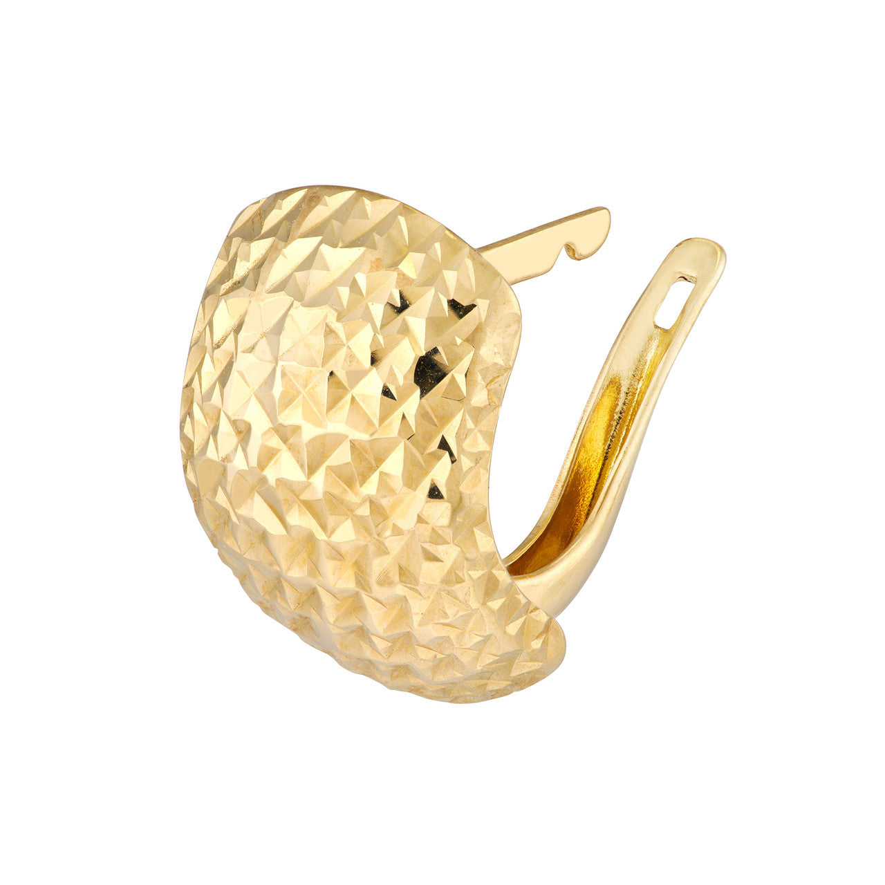 Hoop Earring